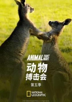 动物搏击会第五季海报剧照