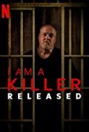 我是一名杀手：出狱人生第一季海报剧照