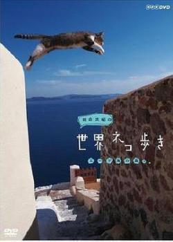 岩合光昭的猫步走世界海报剧照