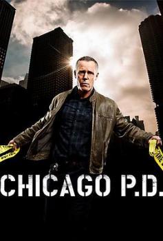 芝加哥警署第五季海报剧照