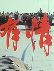 天若有情（1992）海报剧照