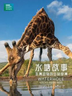 水塘故事：非洲动物的生命绿洲海报剧照