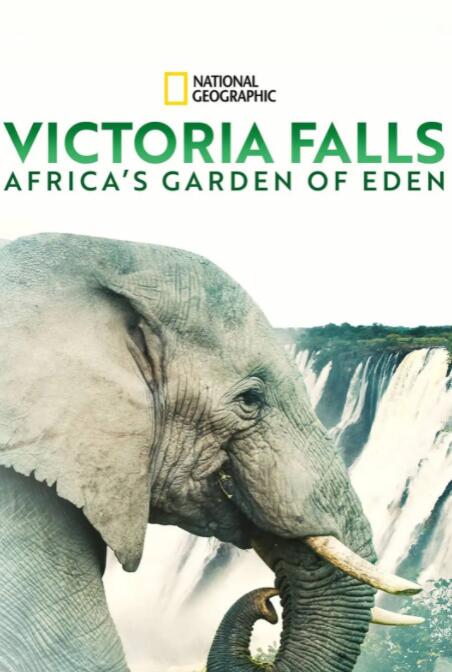 维多利亚瀑布：非洲的伊甸园海报剧照