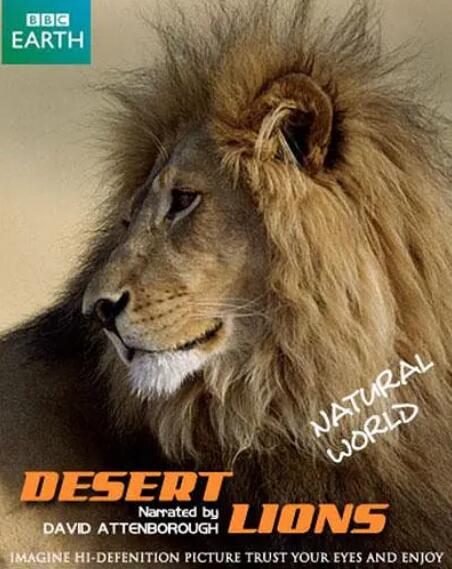 自然世界：沙漠狮海报剧照