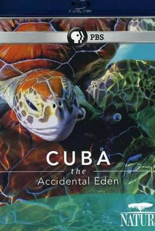 古巴：意外的伊甸园海报剧照