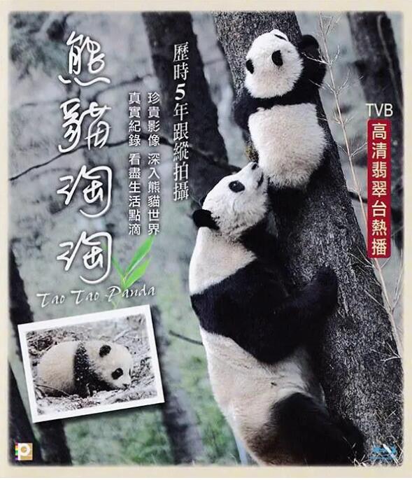 熊猫淘淘海报剧照