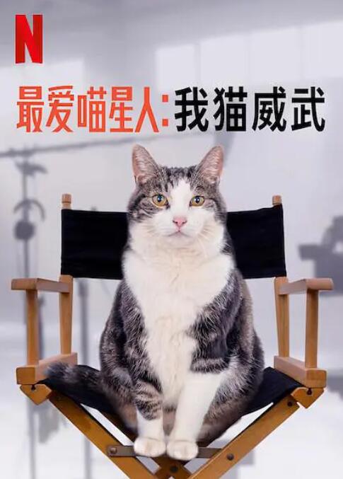 最爱喵星人：我猫威武海报剧照