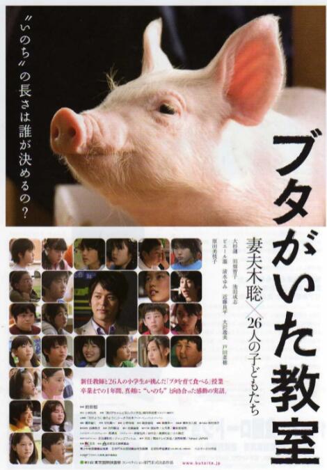 小猪教室海报剧照