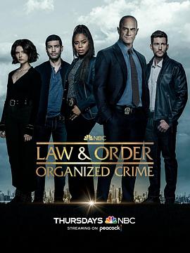 法律与秩序·组织犯罪第三季海报剧照