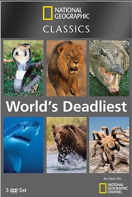 世界致命动物系列：非洲篇海报剧照