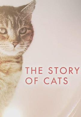 猫科动物的故事海报剧照