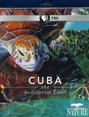古巴：意外的伊甸园海报剧照