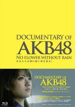AKB48心程纪实3：少女眼泪的背后海报剧照