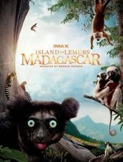 马达加斯加：狐猴之岛海报剧照