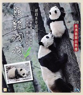 熊猫淘淘海报剧照