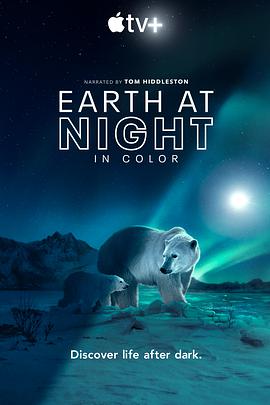 夜色中的地球第二季海报剧照