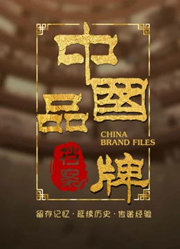 中国品牌档案海报剧照